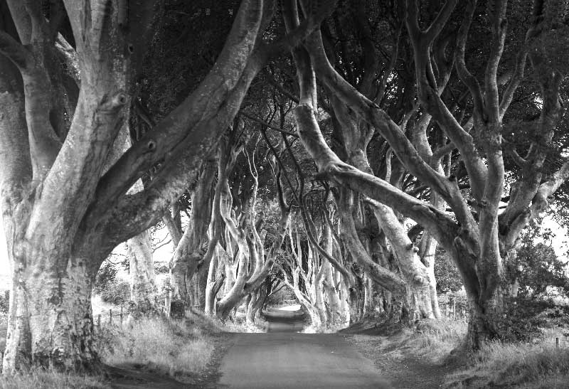 Ausstellung Phantasy Landscapes in Ireland, Game Of Thrones